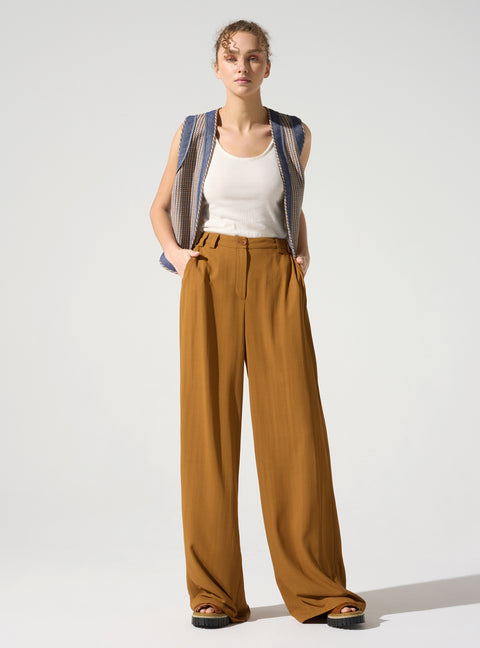 Elegant suit pants